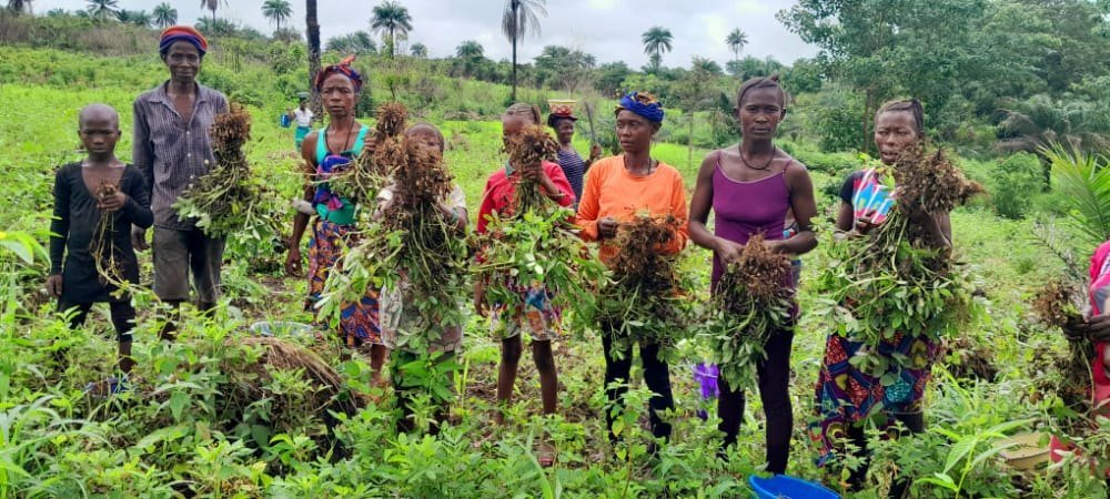 Community members at a Fruitful Healthcare SL agricultural project